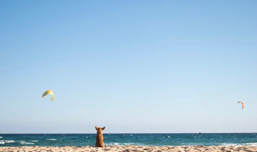 KITE TRIP IN A MICRO CAMPER: Traveling in Covid times